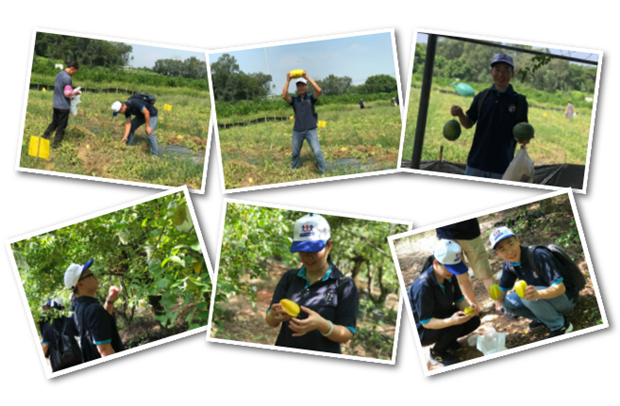 巴德士集团企业活动 巴德士集团企业活动